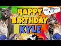 Happy Birt ay Kyle Crazy Cats Say Happy Birt ay Kyle Very Funny