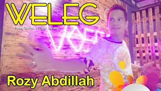 Download Rozy Abdillah - WELEG - house ( official music Video ) MP3