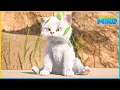 Download Lagu Mike \u0026 Fluffy's Adventures: Cats, Raccoons, Gifts, and More! | 55' Compilation | Cartoon