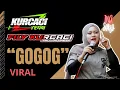GOGOG viral TIKTOK versi TANJI KUDARENGGONG fily kurcaci TEAM