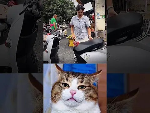 wtf 😂🤣 #shorts #funny #aura #cat #memes #dance #trending