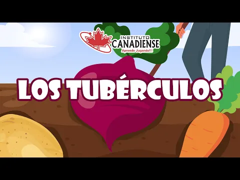 Download MP3 Los Tubérculos - Video Educativo Preescolar