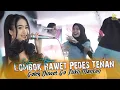 Download Lagu Joko Tingkir • Yessa Oktavia •(Mosok Tuku Mantan)😁 KCW Musik Indonesia