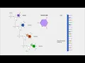 Unveiling the Mysteries of URACIL Exploring RNA s Secret Weapon ATP for Learning with Aashish