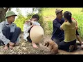 Download Lagu happy and loving encounter: The kind poor girl Tu Vi helped Anh De find the woman he loved the most