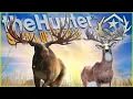 Hunting 2 DIFFERENT Great Ones BACK TO BACK On The Same Map Moose Whitetail Call of the wild
