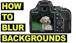 Download How To Blur Backgrounds - Depth of Field for beginners - Bokeh made easy! MP3