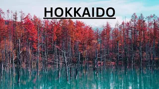 Download Hokkaido Best Places To Go In 2023! MP3