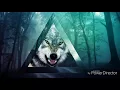 LOYD LEDES DIAZ (Mashup) Mix Bass 2017