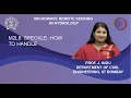 M2L8 Speckle - How To Handle