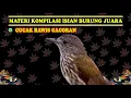 Download Lagu CUCAK RAWIS GACORAN FULL MASTERAN KOMPILASI ISIAN BURUNG JUARA NASIONAL