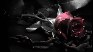 لاتشيل همي وروح ماموت من دونك  دندنها