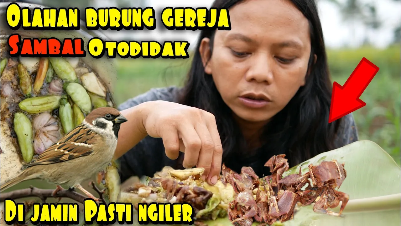 BURUNG GORENG SAMBAL IJO HASIL B3RBURU