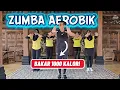 Download Lagu BAKAR 1000 KALORI ZUMBA AEROBIK 