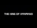 Vigro Deep & DJ Maphorisa - Amabele (Official Audio)feat. Moonchild Sanelly, Tman Xpress & Xduppy