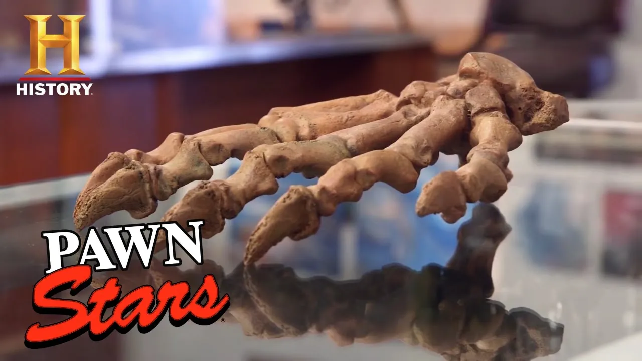 Tobey's Pawn Commercial 2017