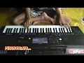 WIL Wanita Idaman Lain - Tanpa Kendang ala New Pallapa lawas + Jaran