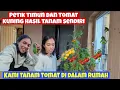 Download Lagu TINGGAL DI DESA TIMUN TOMAT PUN BISA TANAM DAN PETIK SENDIRI || VLOG PEDESAAN UKRAINA 