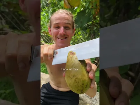The Fruit That Never Disappoints