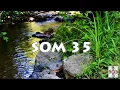 SOM 35