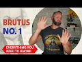 Brutus 1 AP Gov NEW