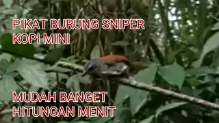 Download PIKAT BURUNG SNIPER MP3