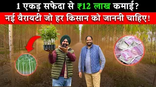 क्या सच में 1 Acre सफेदे से ₹12 लाख होते हैं? | New Eucalyptus Variety की पूरी सच्चाई