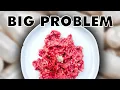 The Growing Problem With Homemade Pet Food