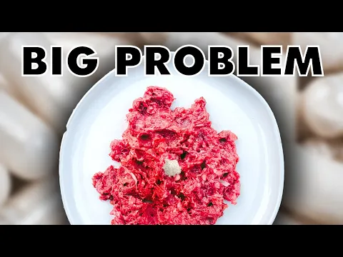 Download MP3 The Growing Problem With Homemade Pet Food