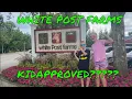 WHITE POST FARMS KidApproved Invaded