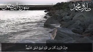 تلاوة هادئة لما تيسر من سورة القصص بصوت القارئ طارق محمد بدون إعلانات Coran Sans Publicité 