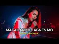 Lagu Matahariku – Agnes Monica 🎸 Rock Version | by Studio Cover Ai