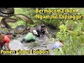 Lagu PENGHUNINYA BIKIN KAGET! NGEROGOH IKAN DI RAWA YANG MULAI KERING