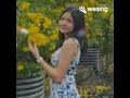 Download Lagu BERBUNGALAH BUNGA CINTA (STINGS) Cover by Indras Hidetora #stings #bulansutena #slowrockmalaysia