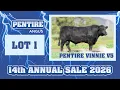 Lot 1 Pentire Vinnie V5 at the Pentire Angus 14th Annual Sale - Monday 10th August 2026