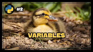 Variables Python Exercise - 2