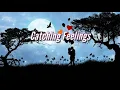 Catching Feelings- Inigo feat. Moophs ( Lyrics)