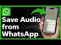 Download Lagu How To Save Audio From WhatsApp On iPhone