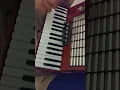 Download Lagu weltmeister accordion