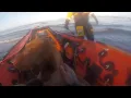 Hungarian vizsla Rescued On East Coast in North Yorkshire