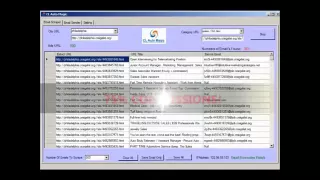 Build an email list and generate leads with craigslist CL Auto Magic