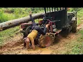 Download Lagu Agricultural vehicles transport giant trees