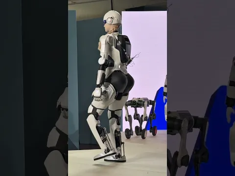 A ROBOT RUNWAY SHOW?! 🤖😂Definitely wasn’t on my 2026 bingo card…#Robot #