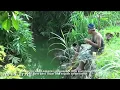 Download Lagu Agus kotak mancing sambil nyanyi