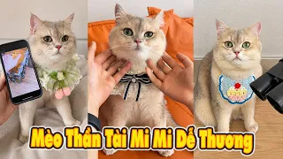 Câu Chuyện Mèo Thần Tài Mi Mi Dễ Thương