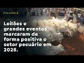 Lagu Leilões e grandes eventos marcaram de forma positiva o setor pecuário em 2025
