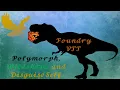 Foundry VTT Polymorph Wildshape and Disguise Self