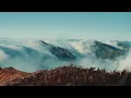 EVISBEATS『Arayashiki』