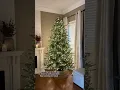 HOME DEPOT VIRAL GRAND DUCHESS BALSAM FIR CHRISTMAS TREE