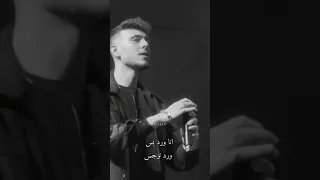 انا مش نرجسي انا ورد بس ورد نرجس الشامي 